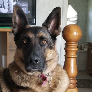 Meet your Posher, Randy